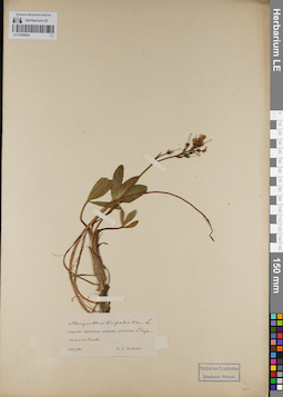 LE 01099054