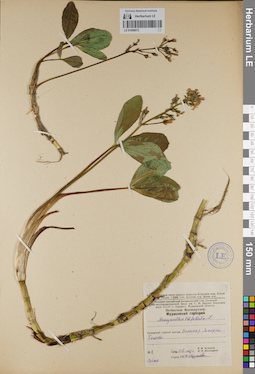 LE 01099072