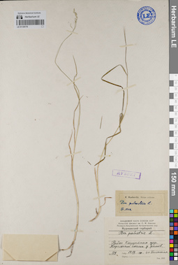 LE 01130176