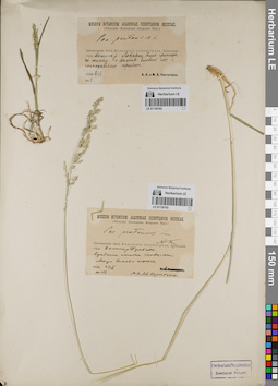 LE 01130192