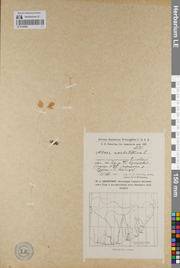 LE 01140468