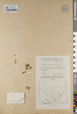 LE 01140473