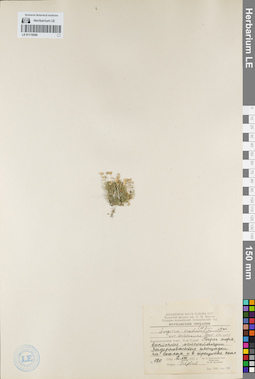 LE 01119550