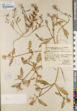 LE 01119566