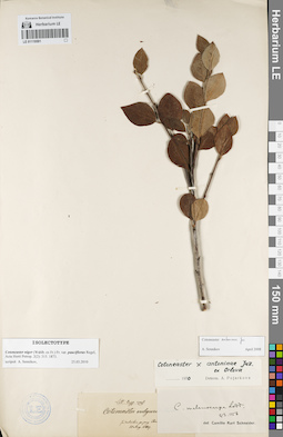 LE 01119591