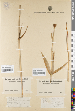 LE 01081709