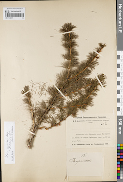 LE 01146197