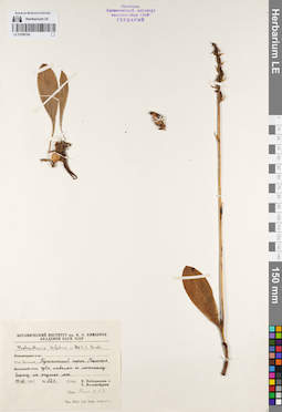 LE 01086784