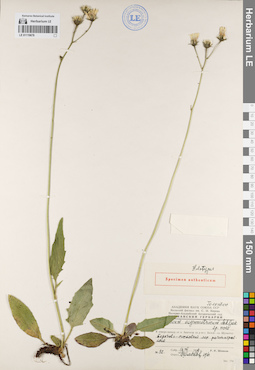 LE 01119678