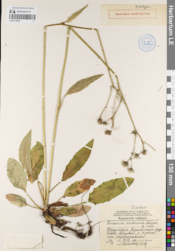 LE 01119725