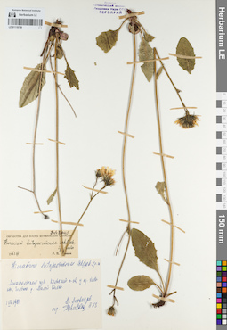 LE 01119789
