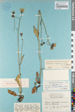 LE 01119865
