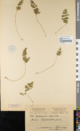 LE 01086648