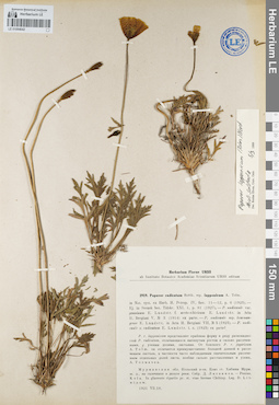 LE 01094042