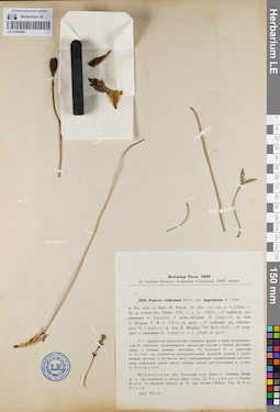 LE 01094065