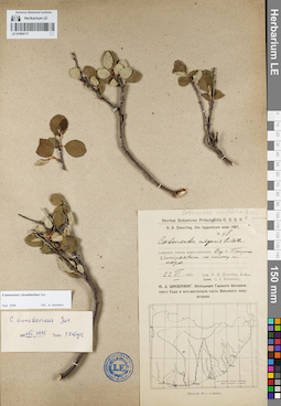 LE 01094117