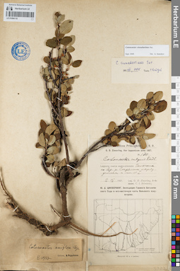 LE 01094118
