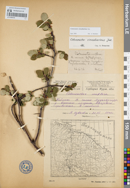 LE 01094143