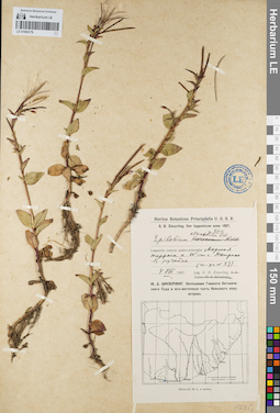 LE 01094179