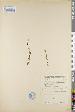 LE 01094180