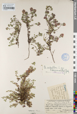 LE 01094217