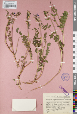 LE 01094538
