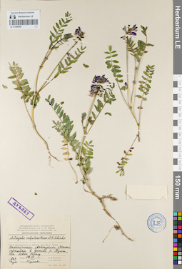 LE 01094540