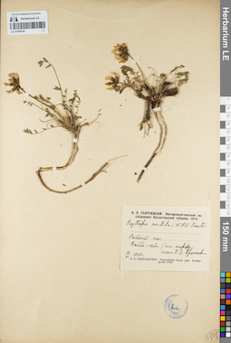 LE 01094744