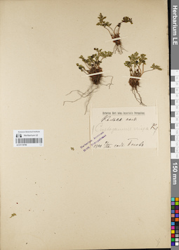 LE 01118790