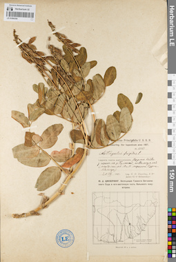 LE 01094354