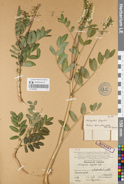 LE 01094369
