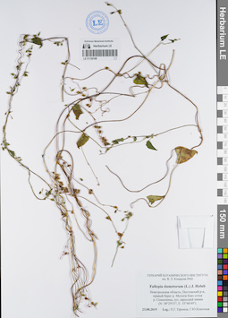 LE 01120188