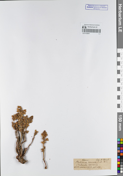 LE 01120241