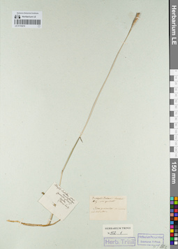 LE 01153210