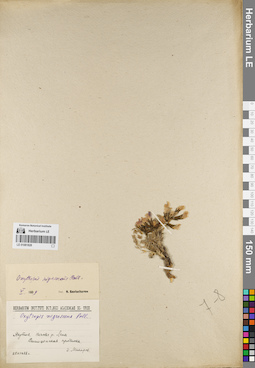 LE 01081828