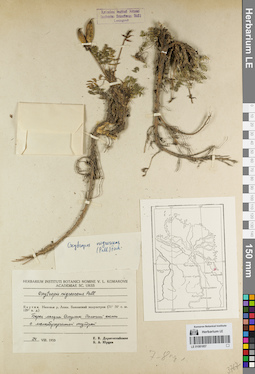 LE 01081857