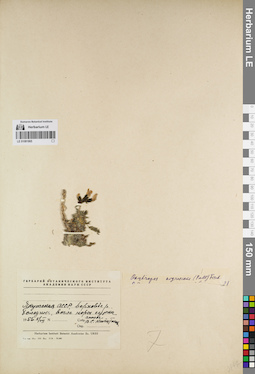LE 01081865