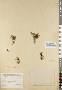 LE 01081875