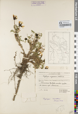 LE 01081880