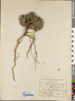 LE 01081891
