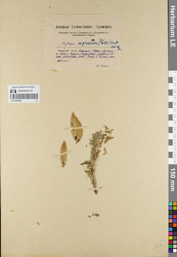 LE 01081892