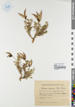 LE 01081908