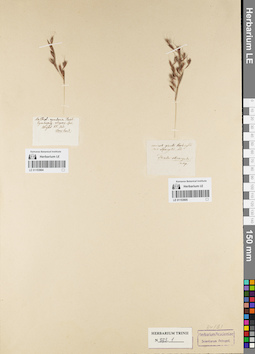 LE 01153904