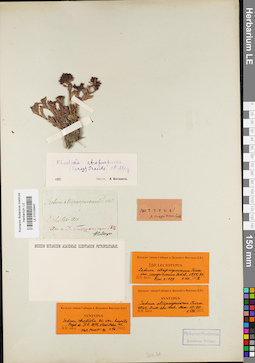 LE 01035940