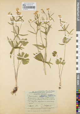 LE 01085729