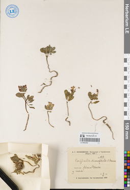 LE 00052262