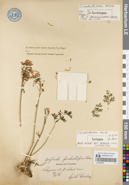 LE 00052282