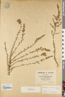 LE 01150065