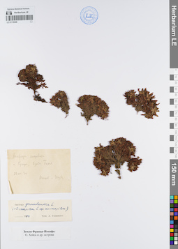 LE 01119340