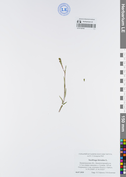 LE 01120145